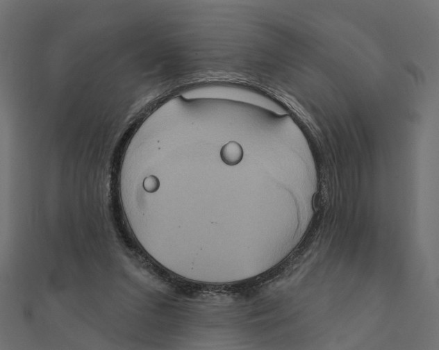 X0000111240207200907301313