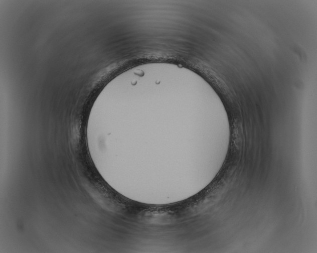 X0000111240208200907301313