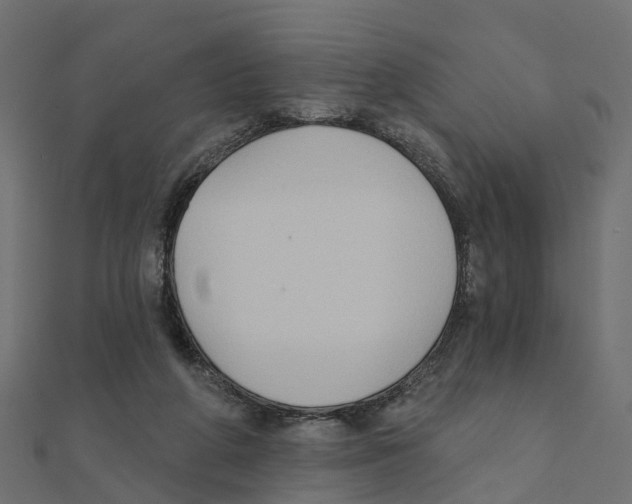X0000111240210200907301313