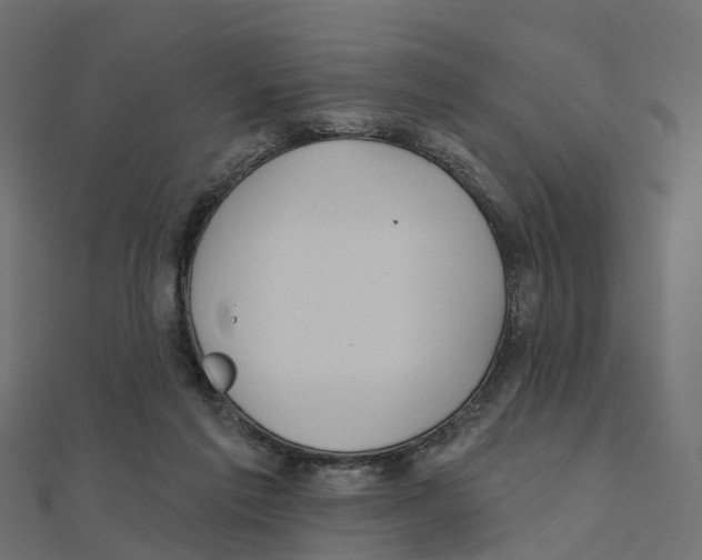 X0000111240213200907301313