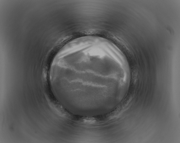 X0000111240214200907301313