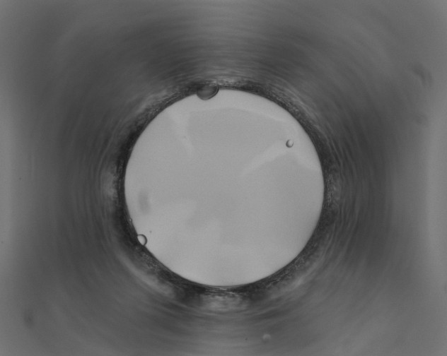 X0000111240215200907301313