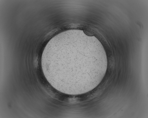 X0000111240216200907301313