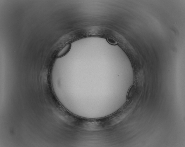 X0000111240217200907301313