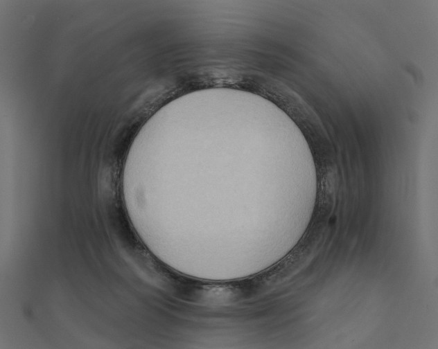 X0000111240218200907301313