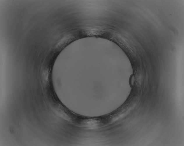 X0000111240219200907301313