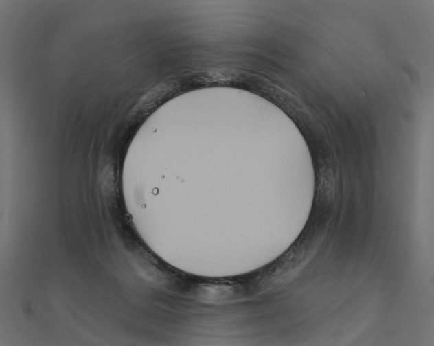 X0000111240220200907301313