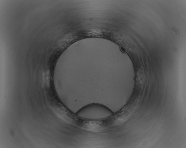 X0000111240223200907301313