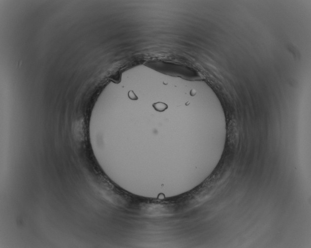 X0000111240224200907301313