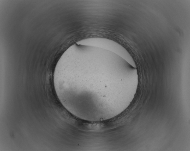 X0000111240225200907301313