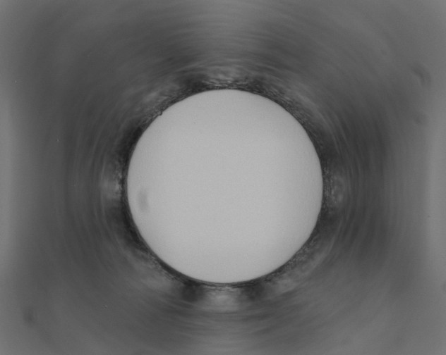 X0000111240226200907301313
