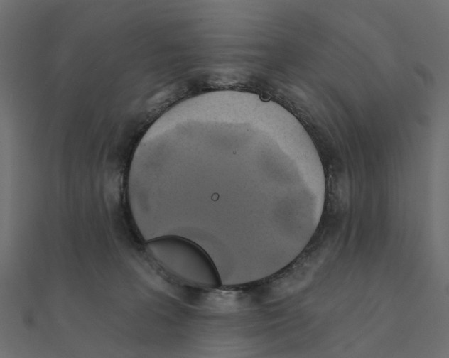 X0000111240227200907301313