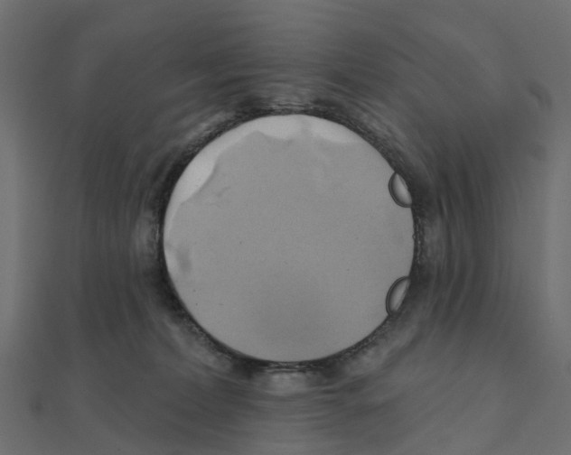 X0000111240228200907301313