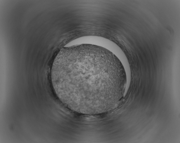 X0000111240229200907301313