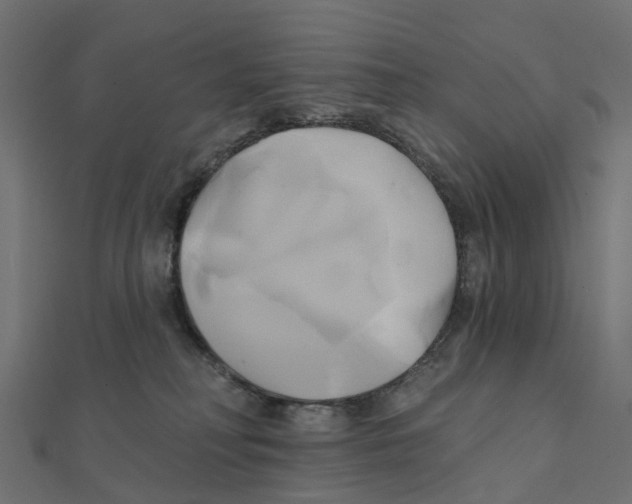 X0000111240230200907301313