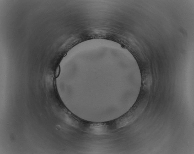 X0000111240231200907301313