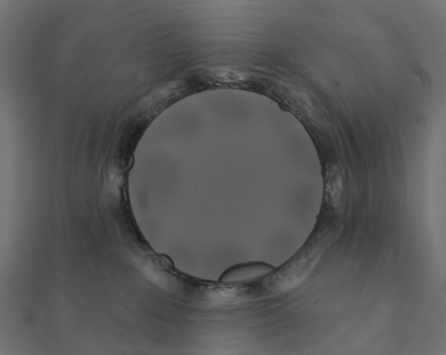 X0000111240235200907301313