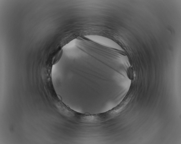 X0000111240237200907301313
