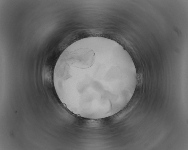 X0000111240238200907301313