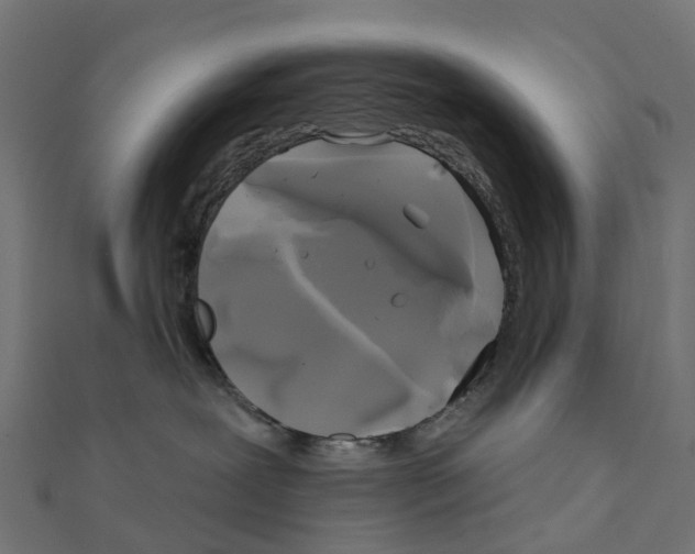 X0000111240239200907301313