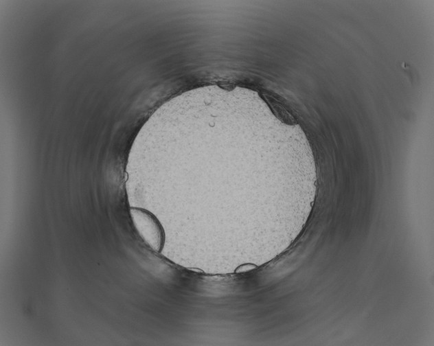 X0000111240240200907301313