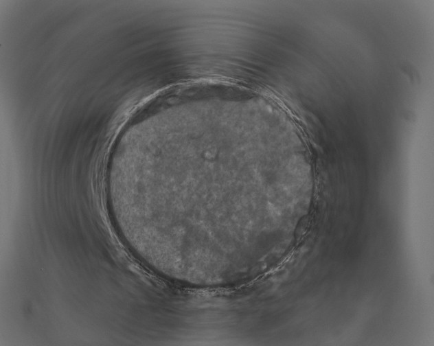 X0000111240241200907301312