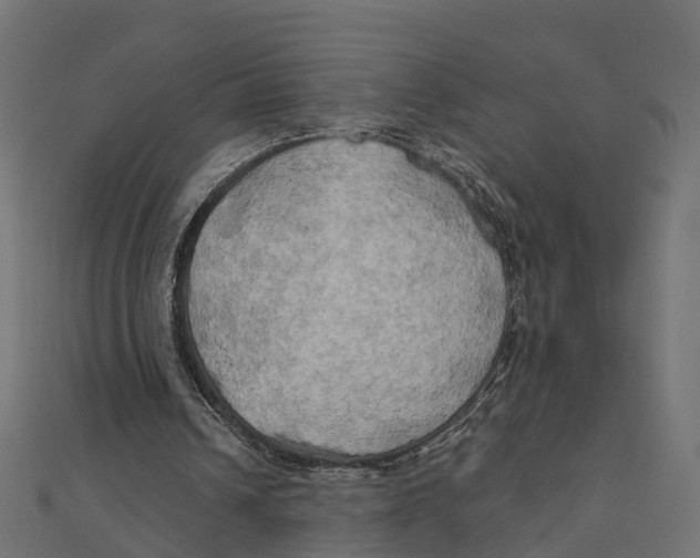 X0000111240242200907301312