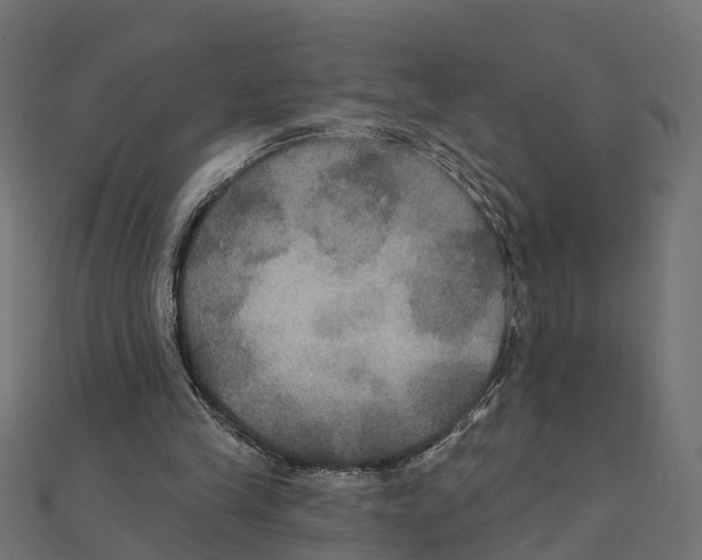X0000111240245200907301312