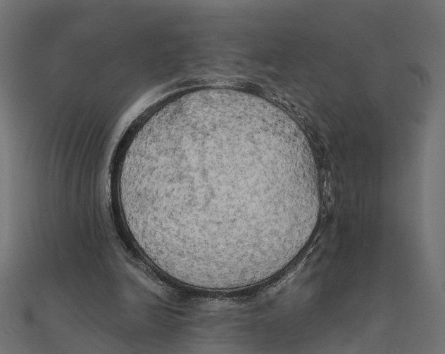 X0000111240246200907301312
