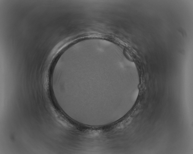 X0000111240247200907301312