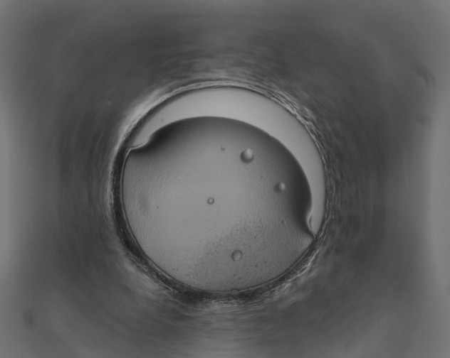 X0000111240248200907301312