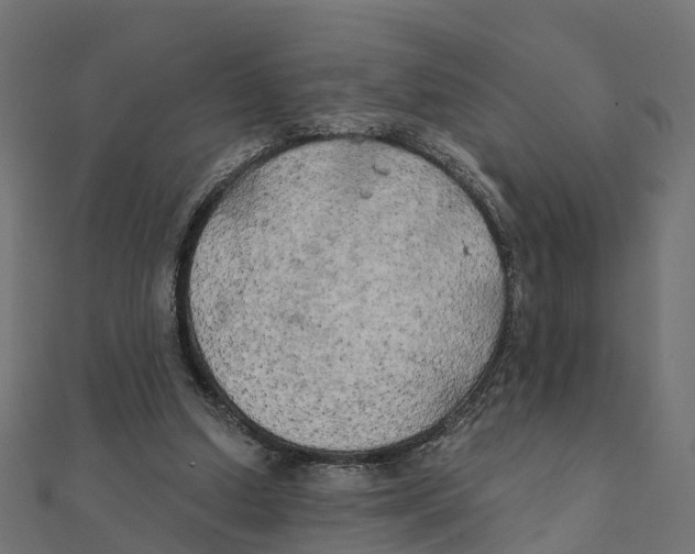 X0000111240250200907301312