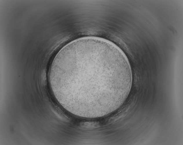 X0000111240251200907301312