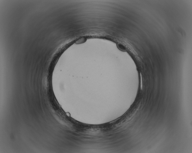 X0000111240252200907301312