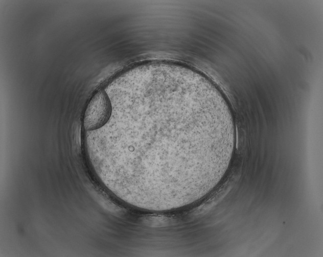 X0000111240253200907301312