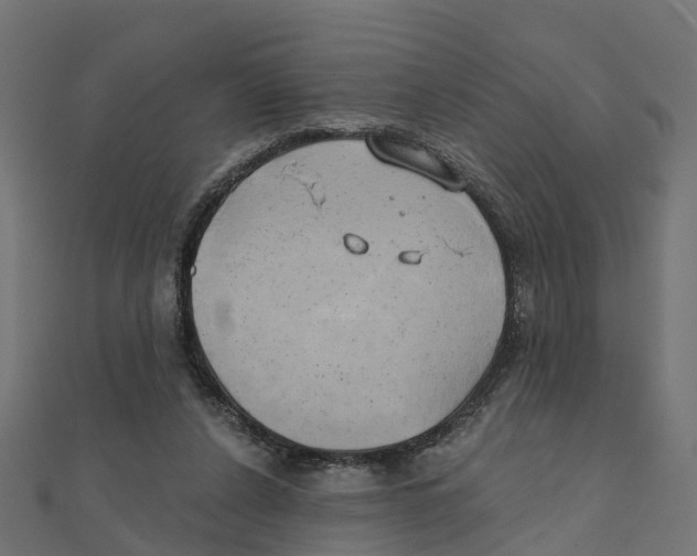 X0000111240256200907301312