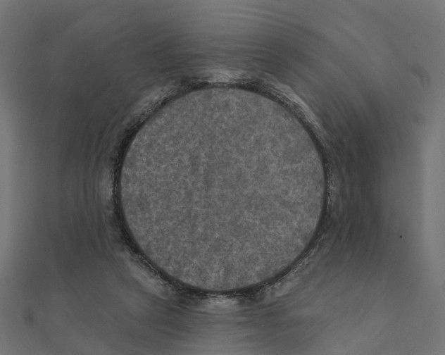 X0000111240257200907301312