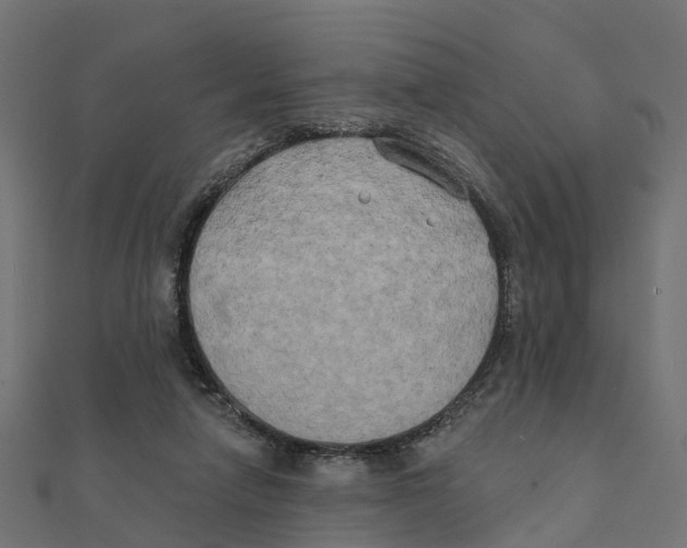 X0000111240258200907301312