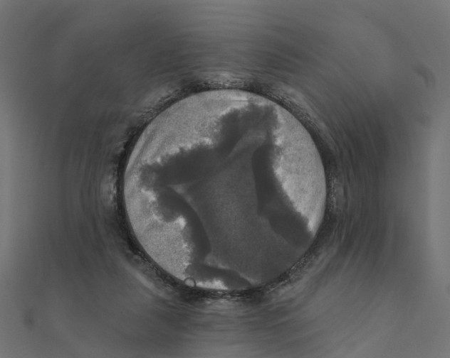 X0000111240259200907301312