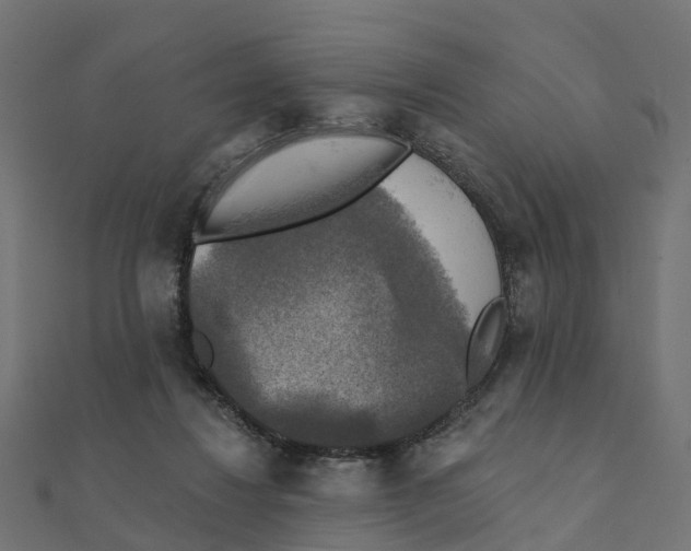 X0000111240260200907301312