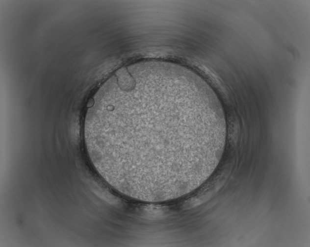 X0000111240261200907301312