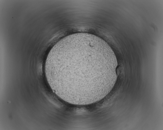 X0000111240262200907301312