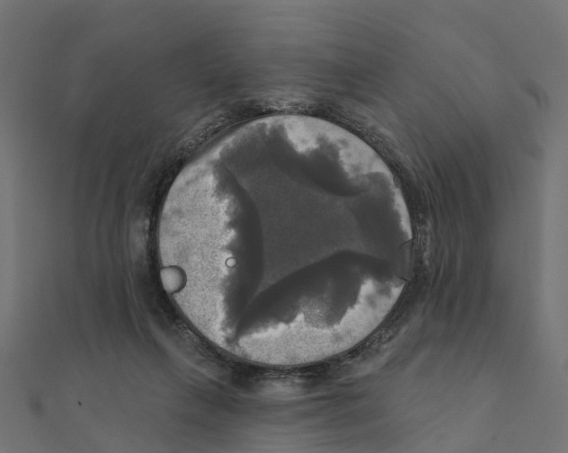 X0000111240263200907301312