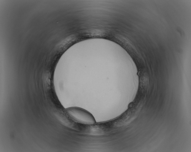 X0000111240264200907301312