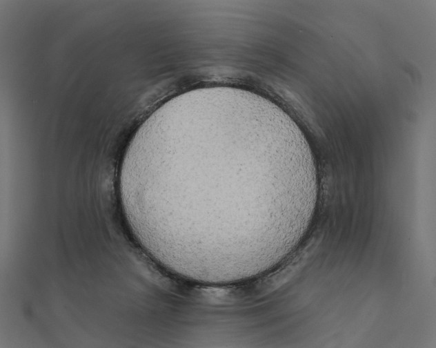 X0000111240265200907301312