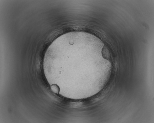 X0000111240266200907301312