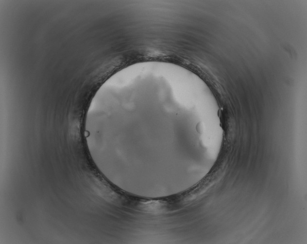 X0000111240269200907301312