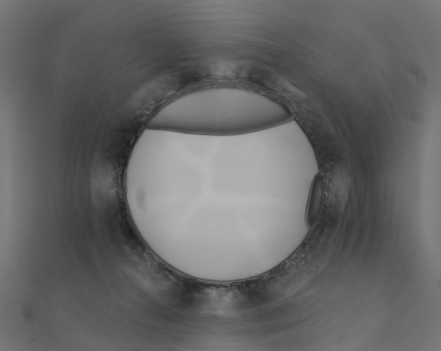 X0000111240272200907301312