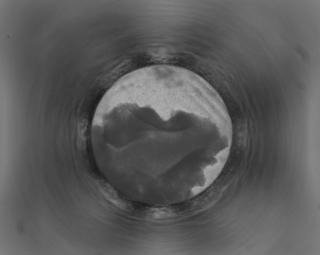 X0000111240275200907301312