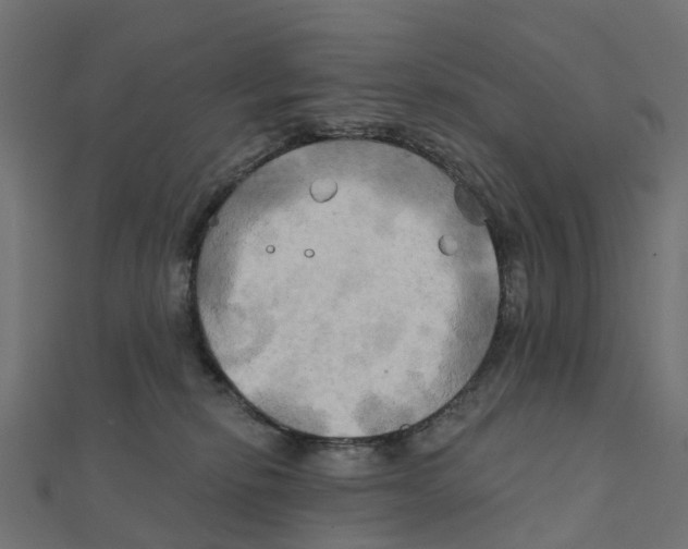 X0000111240278200907301312